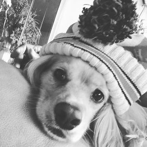 Meet your Posher, Patricia